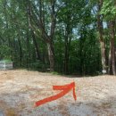 금강모치 화장실 이미지