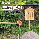 대구시청별관앞 교통섬 | [일본 소도시 여행] 마쓰야마 1일차 : 도고온천 1박 (센과치히로 모티브)