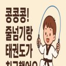 고려대단관태권도 이미지