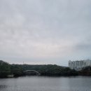 83왕소금구이 - 동구 화진8길 52 | 83왕소금구이