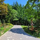 노루벌적십자생태원 이미지