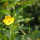 남동목장 이미지