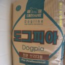 도그피아 이미지