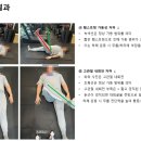 근육 연구소 이미지