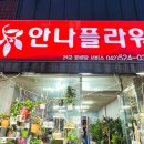 대전꽃집안나플라워