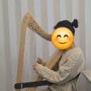 한음음악학원 - 부평구 배곶로 59 | [공지] 하프 취미생의 콩쿨 도전기🪉 #한음음악콩쿠르 #하프레슨후기 #헬렌음악학원