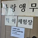 인평사슴목장농장 | 남해여행 추천 | 남해 아이랑 가볼만한 곳 남해 상상양떼목장 편백숲 |남해 양먹이주기 체험 후기