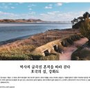 강화초등학교 | 역사의 굴곡진 흔적을 따라 걷다 호국의 섬, 강화도