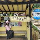 천보산로 | 니지모리 애견동반 가능? 솔직후기 주차 간식식당 기모노대여