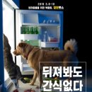 펫플래닛