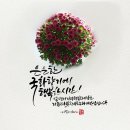 가을이 데려다준 감사한 인연