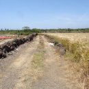 신평보건진료소 이미지