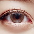 브라이트코리아 이미지