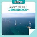 제주본초협동조합 이미지