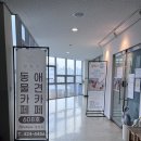 힐링주 | 안양 초등 아이랑 가볼만한 곳 애견까페 동물까페 힐링주 내돈내산 후기