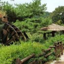 선암호수공원축구장 이미지