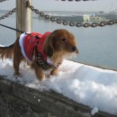 신흥동011 이미지