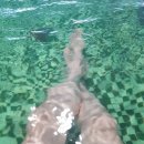 청남대사우나 이미지