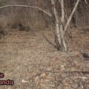 모악산마실길 2-1코스 이미지