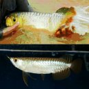 청용농장 이미지