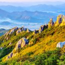 [천관산 버스 출발 확정] 푸른 남해와 은빛 물결이 있는 장흥 천관산 175차 억새 정기산행! 2026년 10월 25일 일요일! 이미지
