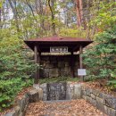 아름다운 여행 | 🍂 인제 필례약수터 여행후기 | 단풍터널이 아름다운 가을 힐링드라이브 코스