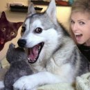 포시즌(4SEASONS) 이미지