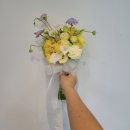 준플라워 이미지