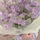 플레르쉐무아경기광주점