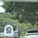 청양알프스산양목장 | 강원도 태백 가볼만한곳 몽토랑 산양목장 양과 함께 뛰어노는 알프스 내돈내산