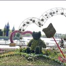 국제문화교류관 야외정원 이미지