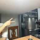 국가대표순대국 이미지