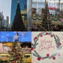 신비무역 | 현대백화점 무역센터점 크리스마스 맛집 탐방: 10층 더 이탈리아 클럽 &amp; 베르체 후기