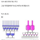 사람들이 긴급재난지원금으로 알게 된 사실 이미지