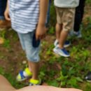 해안초교병설 이미지