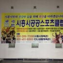 시흥시공공스포츠클럽 이미지