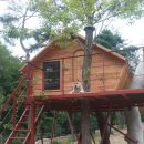 트리하우스 이미지