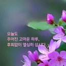 삼월 Daum카페
