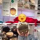 (주)이랜드이츠 애슐리퀸즈 벨라시타일산점 | 고양시 일산동구 비오는 날 데이트코스: 그린매니저, 옐로우마운틴, 이케아, 애슐리퀸즈, 벨라시타