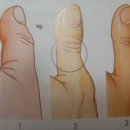 다섯손가락 이미지