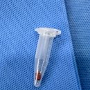 GB메디컬 | 📌 고령견 방광결석 제거 수술과 심장ㆍ신장 동반 질환 관리 후기 – 로얄외과수술센터 사례