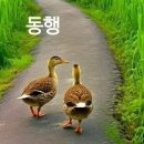 힘들어도 우리 웃고 살아요 이미지