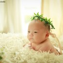 베베부부 이미지