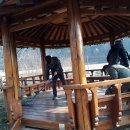 삼환염공(주) Daum카페