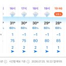 내일 비가 올까요 안올까요???? 이미지