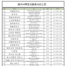 배틀스피릿투지바이크