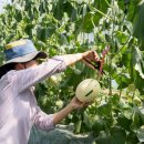 동춘농장 이미지