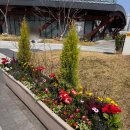 영흥도서관 | 수원 아기랑 갈만한 곳, 영흥수목원 하루 코스로 추천 후기