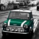 100프로카센타 이미지