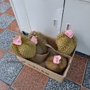유가한중유통 네이버블로그